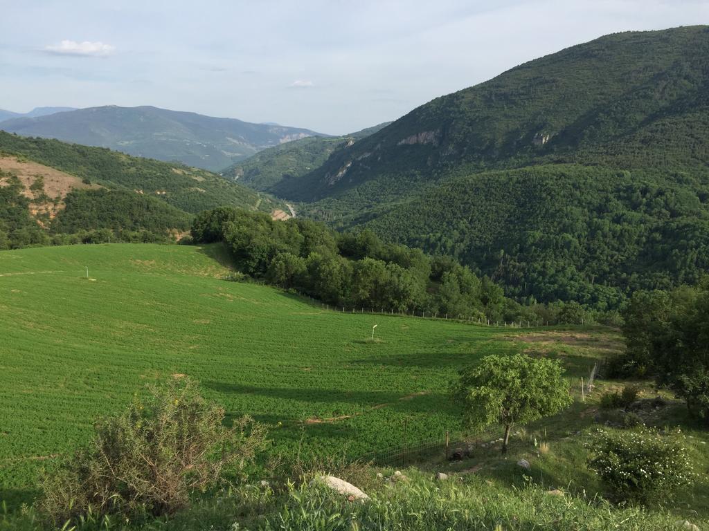 La Fusteria Del Casat Apartamento Sarroca de Bellera Exterior foto